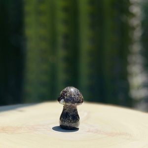 Kambada jasper mushroom